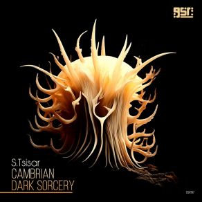 Download track Dark Sorcery S. Tsisar