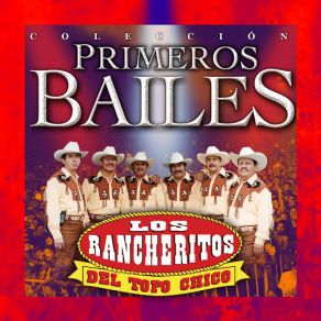 Download track Sueno Bonito Los Rancheritos Del Topo Chico