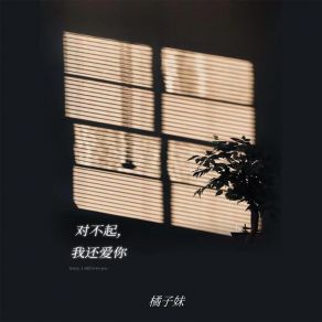 Download track 对不起，我还爱你 (DJR7版伴奏) R7