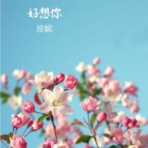 Download track 爱情证明 Zhen Ni