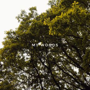 Download track My Woods Auruque