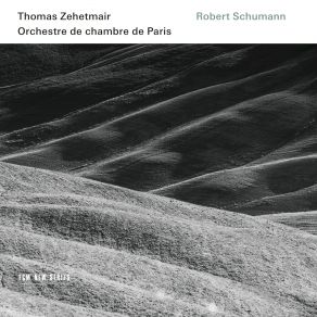 Download track Symphony No. 1 'Spring', Op. 38 - III. Scherzo: Molto Vivace Thomas Zehetmair, Orchestre De Chambre De Paris