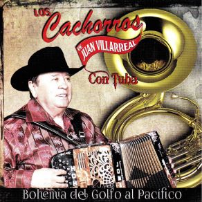 Download track Estrellas Y DIamantes Los Cachorros De Juan Villarreal