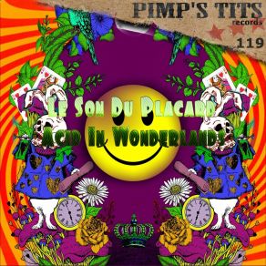 Download track Acid In Wonderlands Le Son Du Placard