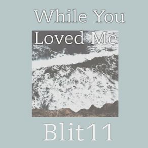 Download track While You Loved Me Blit11