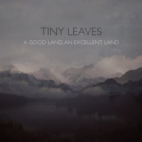 Download track A Good Land, An Excellent Land Tiny Leaves