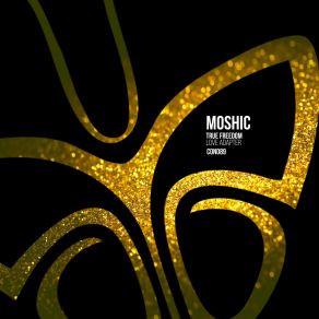 Download track Love Adapter (Original Mix) Moshic