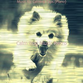 Download track Magical Music For Doggies Calm Dog