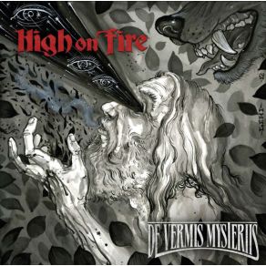 Download track Serums Of Liao High On Fire