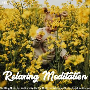 Download track Stress Relief Meditation Tibetan Meditation