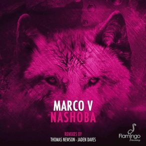 Download track Nashoba (Jaden Daves Remix) Marco V.