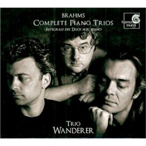 Download track 8. Trio No. 2 Op. 87 C Major - Finale. Allegro Giocoso Johannes Brahms