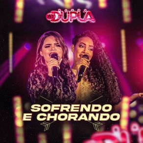 Download track Desculpa Meu Amor Banda ADupla