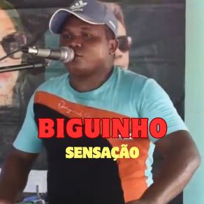 Download track Te Amei De Mais Biguinho Sensação