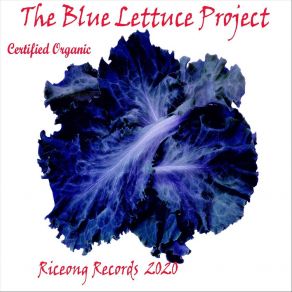 Download track Tender The Blue Lettuce Project