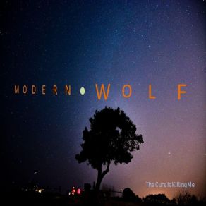 Download track The Boy I Used To Be Modern Wolf