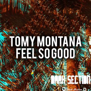 Download track This Is The Funky (Original Mix) Tony Montana