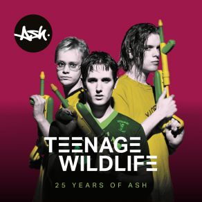 Download track Teenage Wildlife Ash