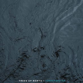 Download track Underwater Trees Up North