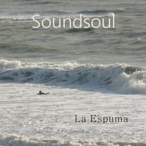 Download track Encuentro De Olas Soundsoul