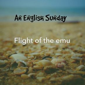 Download track Kings Flight Of The Emu