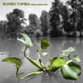 Download track La Linea Del Rio Rumbo Tumba