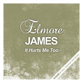 Download track No Love In My Heart Elmore James