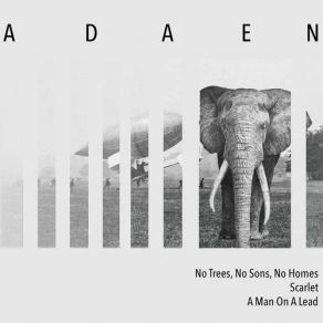 Download track No Trees, No Sons, No Homes Adaen