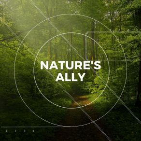 Download track Images Of Nature Rain Sounds Nature Collection