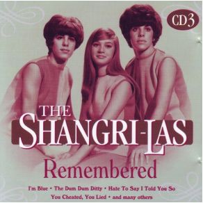 Download track Hate To Say I Told You So The Shangri - Las