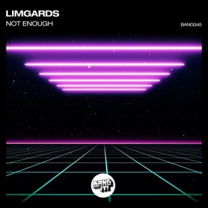 Download track Not Enough (Extended Mix) LIMGARDS