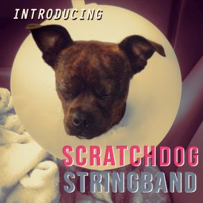 Download track No Woman Scratchdog Stringband