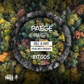 Download track Diversity (Original Mix) Paege