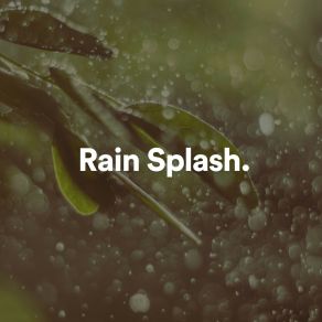 Download track Digital Rain, Pt. 17 Nature Soundscapes