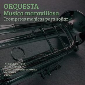 Download track What A Wonderful World Orquesta Música Maravillosa