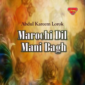 Download track Tu Agr Kaye Qismat Abdul Kareem Lorok