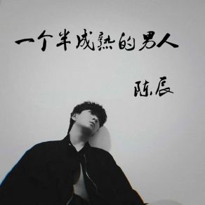 Download track 一个半成熟的男人 陈辰