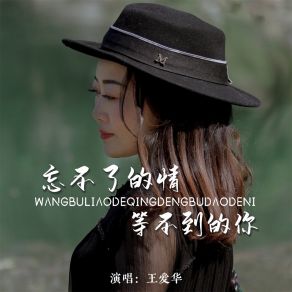 Download track 忘不了的情等不到的你 (DJ默涵版) 王爱华