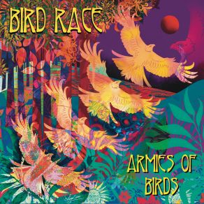 Download track The Numbers Bird Race