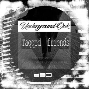 Download track Stand (Mix; Underground OakDeeptech