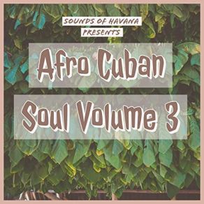 Download track En Qué Parte De Cuba Nació El Son Sounds Of HavanaIbrahim Ferrer