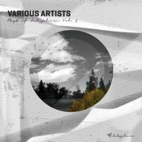 Download track Insanity (Original Mix) Dubquest