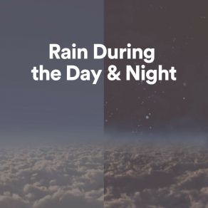 Download track Rain In Another World Night RainRain Sounds For Sleep Aid