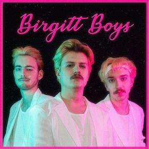 Download track Birgitt Boys Interview Jan Jester