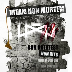 Download track Puppe Vitam Non Mortem