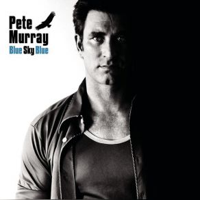 Download track H. O. L. L. A. N. D. (Acoustic) Pete Murray