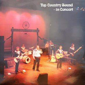 Download track Rollin' In My Sweet Baby's Arms Top Country Sound