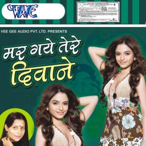 Download track Thukra Ke Mere Pyar KO Guddi Gilhari