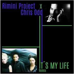 Download track It's My Life (Remix) Chris Odd