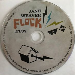 Download track Don't Tell Me I'm Wrong Jane Weaver